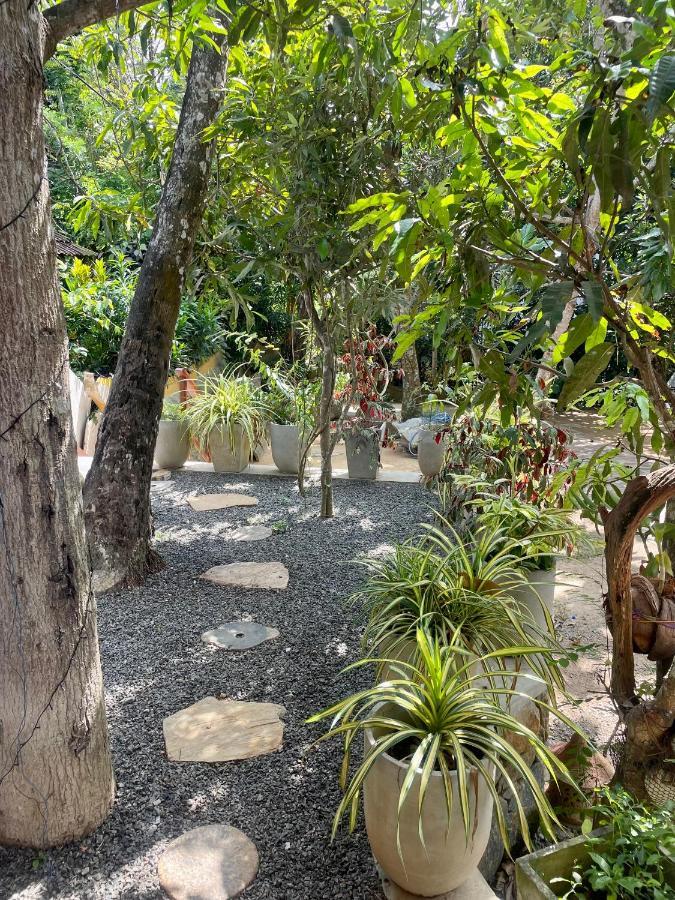 Jungle Escape Hiriketiya Dickwella Exterior foto